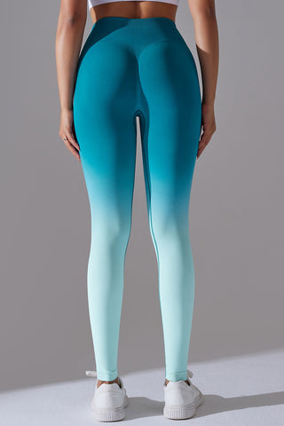 Seamless Ombre Legging