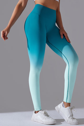 Seamless Ombre Legging