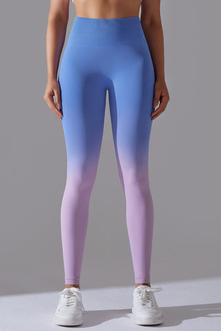 Seamless Ombre Legging