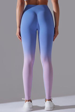 Seamless Ombre Legging