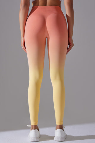 Seamless Ombre Legging