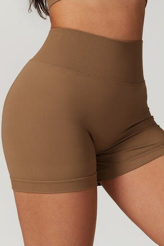 High Rise Ribbed Waistband Short