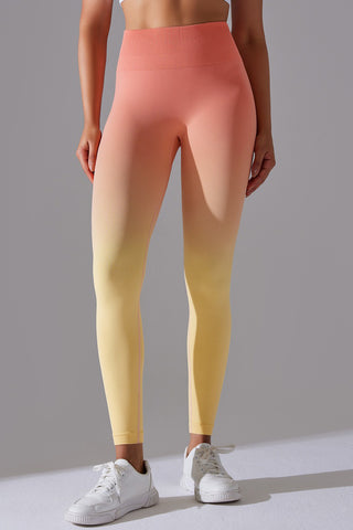 Seamless Ombre Legging