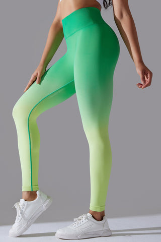 Seamless Ombre Legging