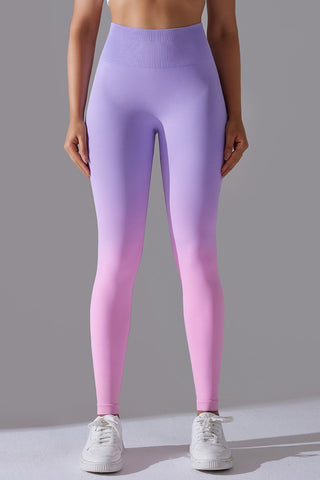 Seamless Ombre Legging