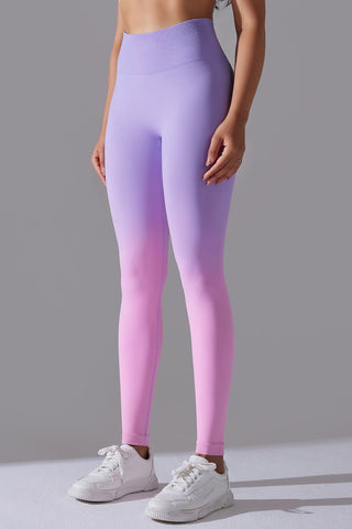 Seamless Ombre Legging