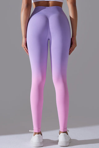 Seamless Ombre Legging