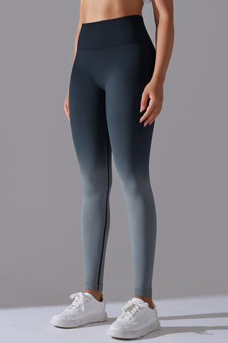 Seamless Ombre Legging