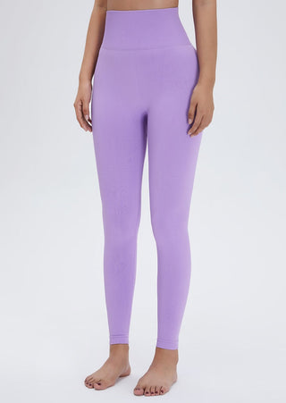 Seamless High Rise Legging