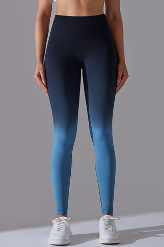 Seamless Ombre Legging