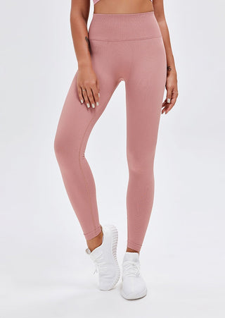 Seamless High Rise Legging