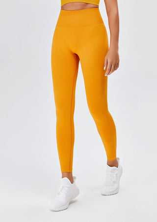 Seamless High Rise Legging