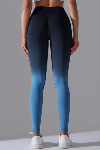 Seamless Ombre Legging