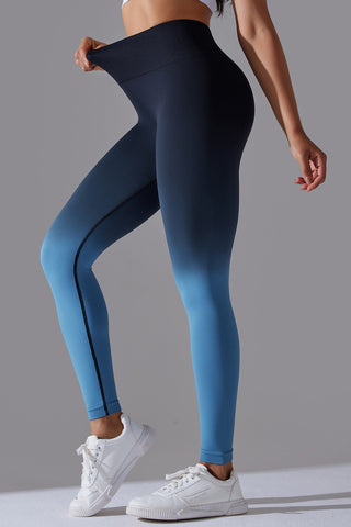 Seamless Ombre Legging