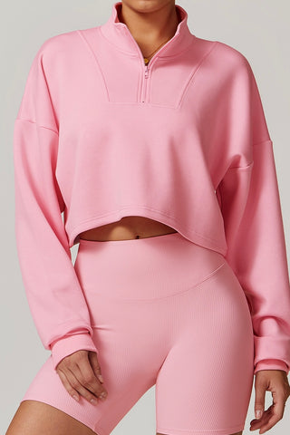 High Neck Half-Zip Crop Sweatshirt