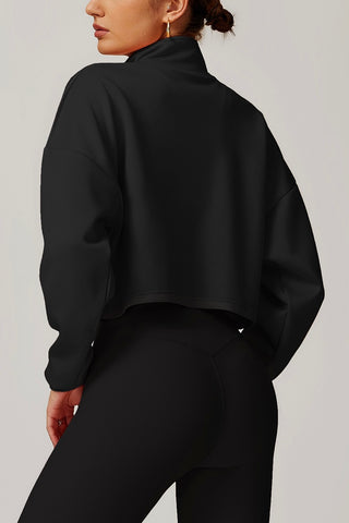 High Neck Half-Zip Crop Sweatshirt