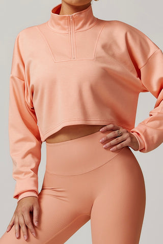 High Neck Half-Zip Crop Sweatshirt